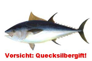 Quecksilber-Thunfisch